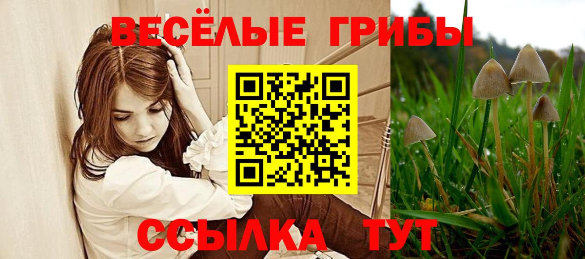 Вичуга  Галлюциногенные грибы Cubensis  купить   Галлюциногенные грибы прущие грибы  Вход с VPN 